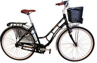 bike 1